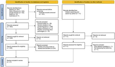 Foot Assessment Clinical Scales in Charcot-Marie-Tooth Patients: A Scoping Review